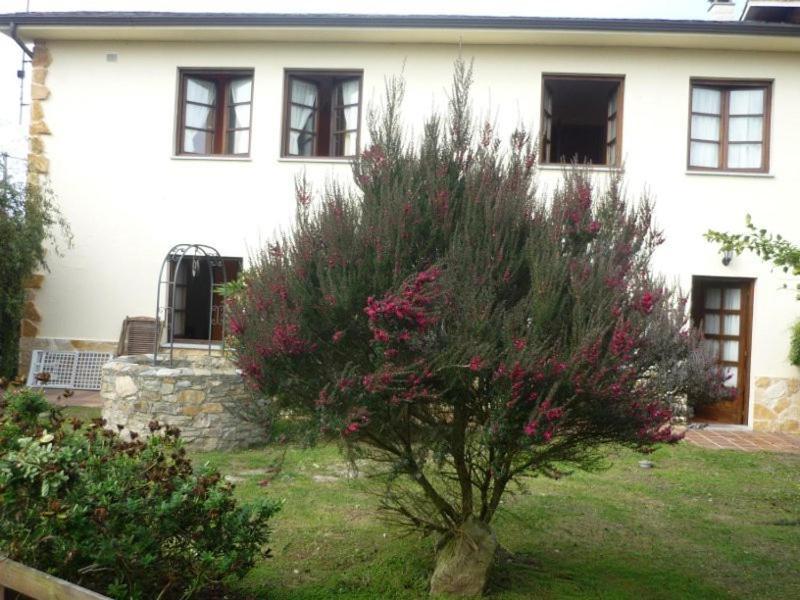 Apartamentos Rurales La Caramba Lamuno Dış mekan fotoğraf